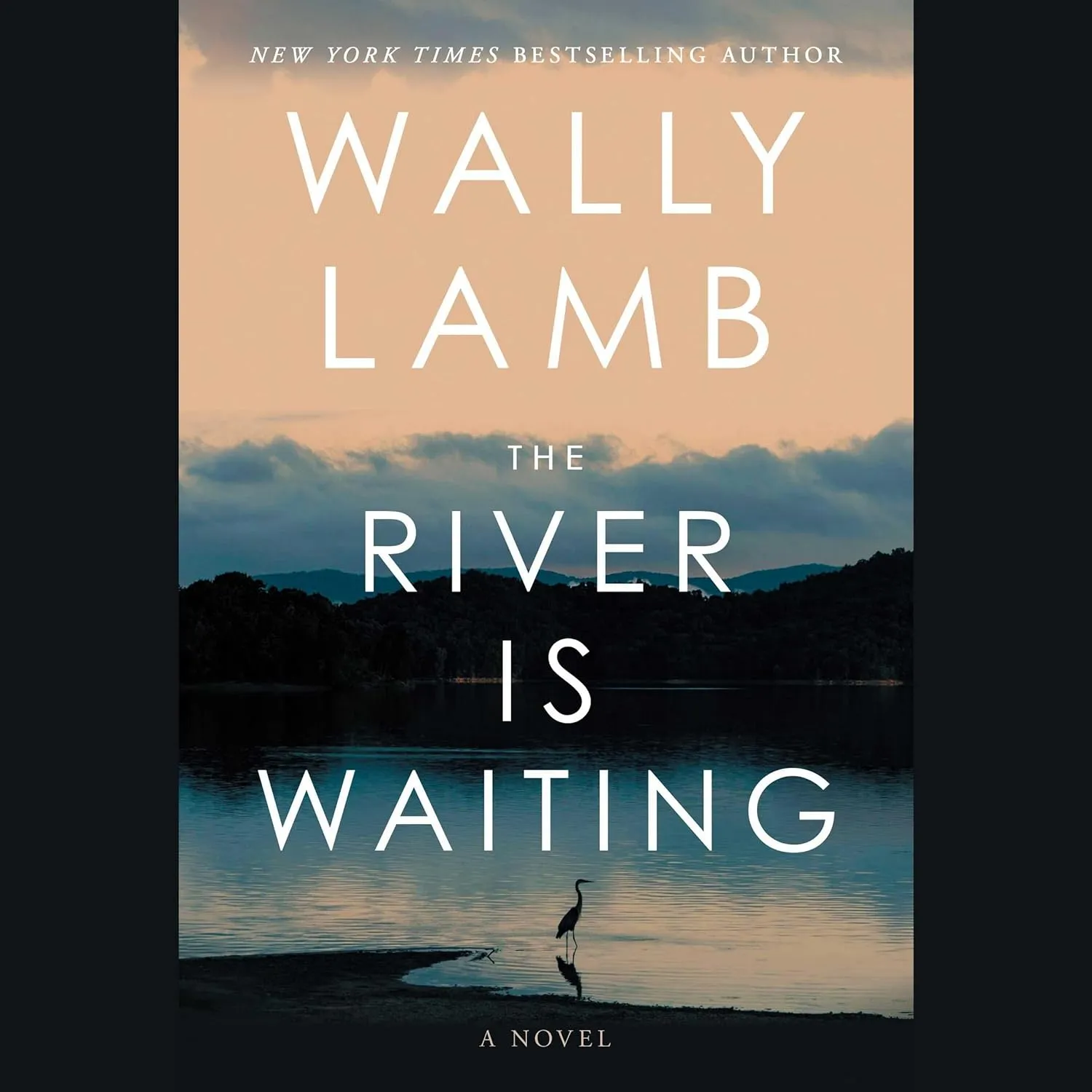 The River Is Waiting Audio CD  Unabridged, May 6, 2025